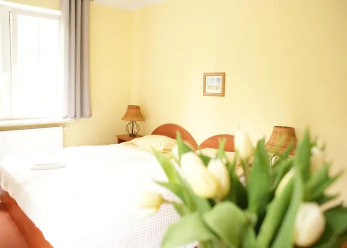 Willa-anna ホームステイ *